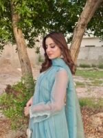 3 Piece Blue Texture Organza Shirt Dupatta & Trouser - Image 3