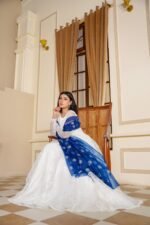 3 Piece Net Frock & Trouser - Image 8
