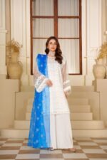3 Piece Organza Shirt & Plazo - Image 8