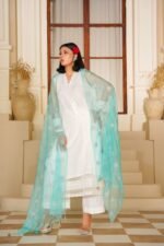 3 Piece Organza Shirt & Trouser